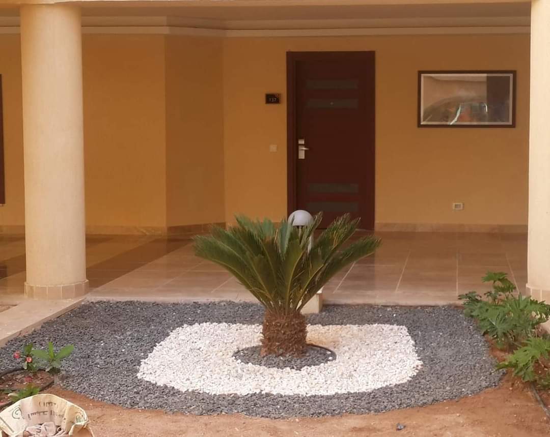 تنفيذ مشاريع عشب طبيعي في نجران