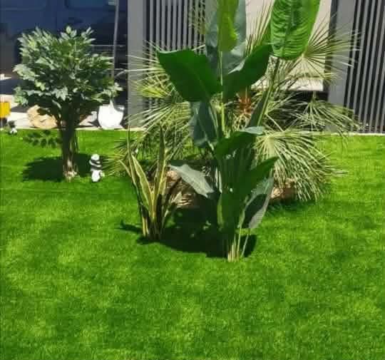 صورة تنسيق حدائق وشلالات ونوافير مؤسسة نجران