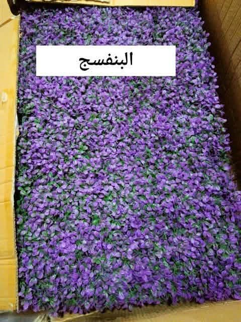 صورة تنسيق حدائق وشلالات ونوافير مؤسسة نجران