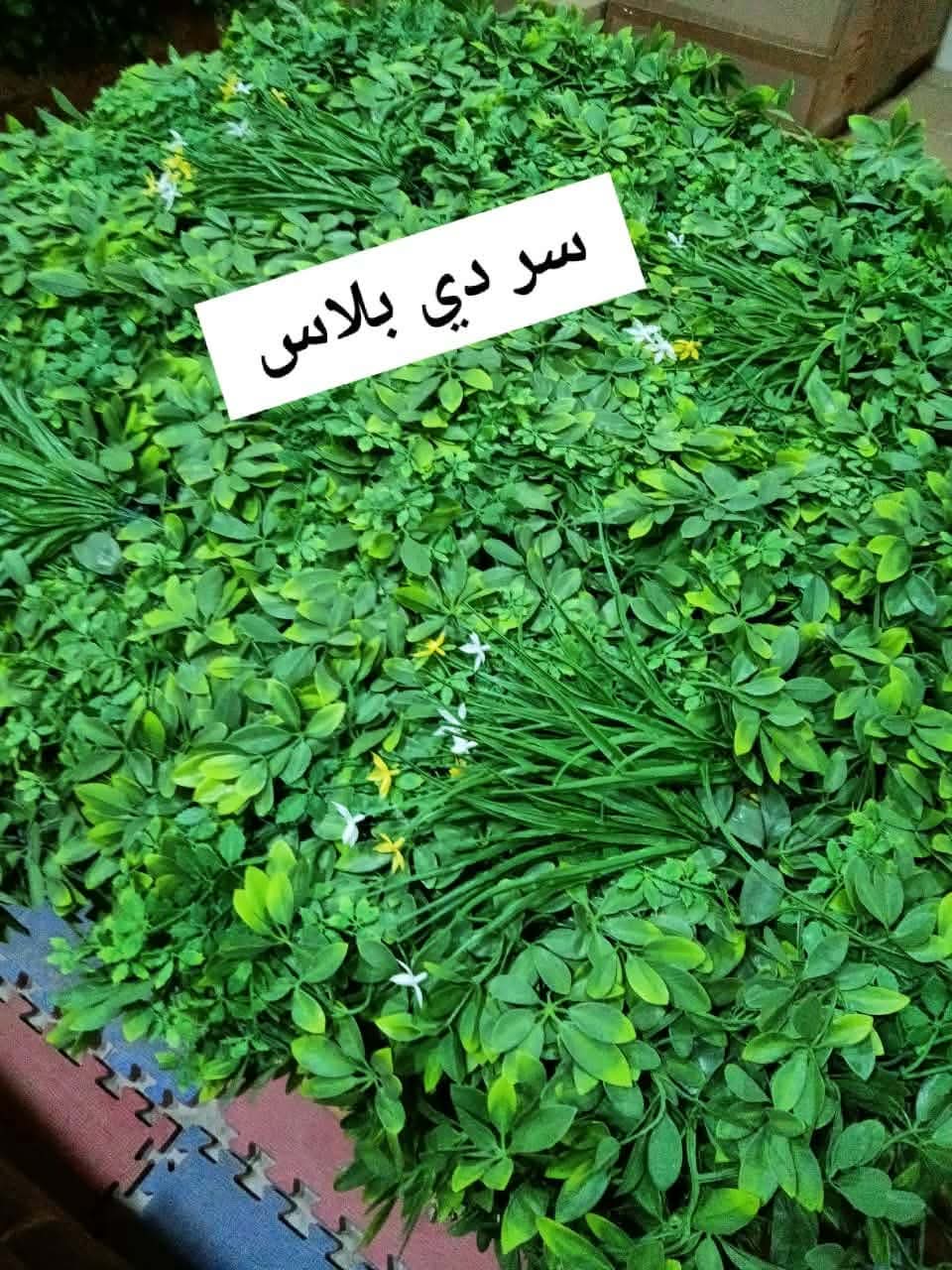 صورة تنسيق حدائق وشلالات ونوافير مؤسسة نجران