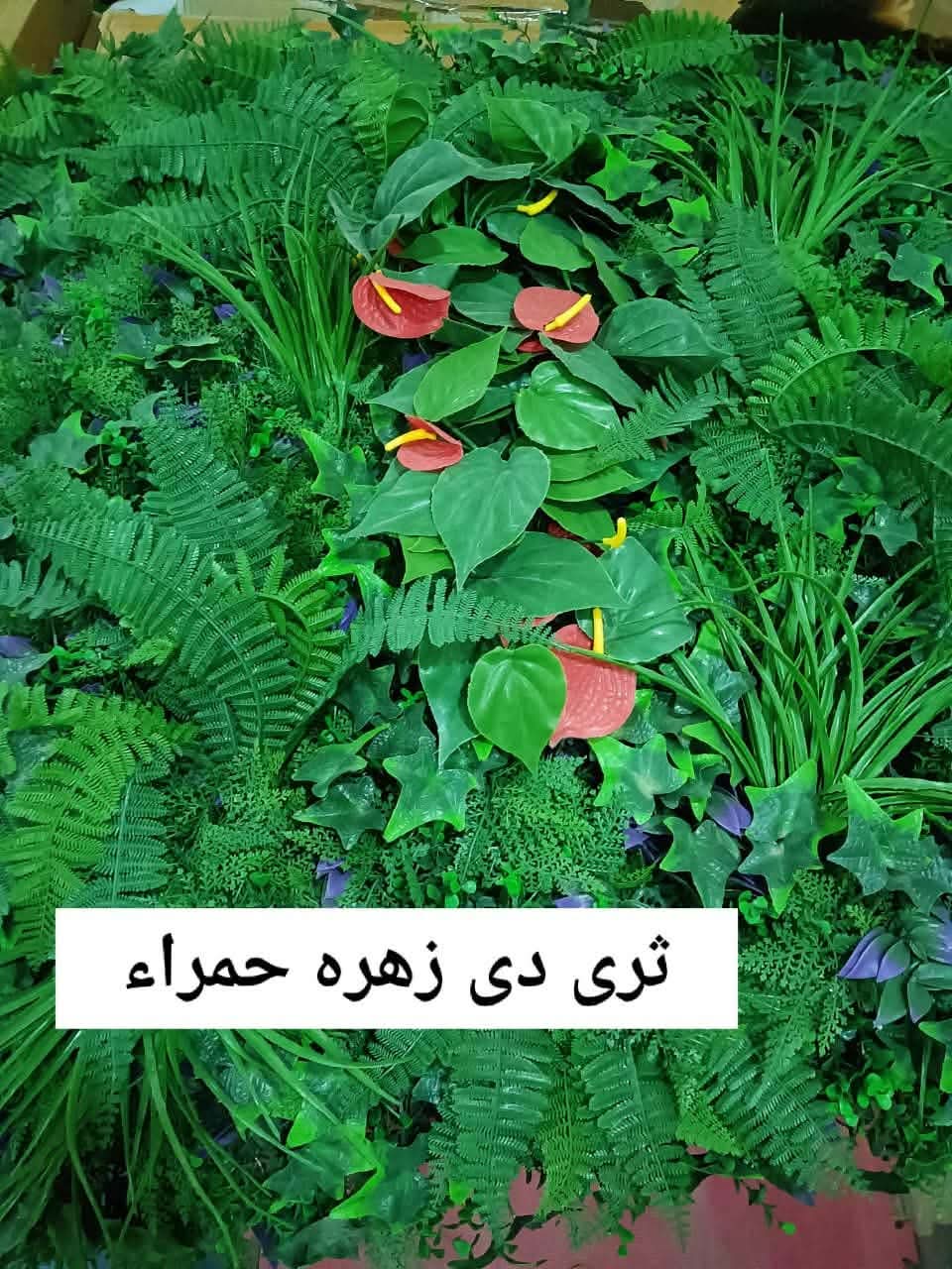 صورة تنسيق حدائق وشلالات ونوافير مؤسسة نجران